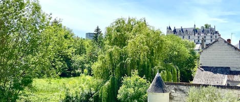 Vue de la chambre sur le château