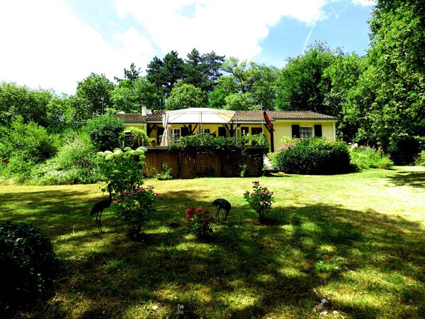 Shady areas in garden