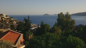 Beach/ocean view