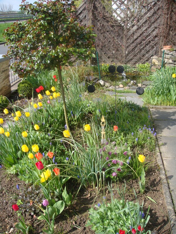 Blühender Vorgarten im Frühling