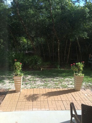 Back porch overlooking Point Washington Forest