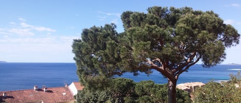 Vue sur la plage/l’océan