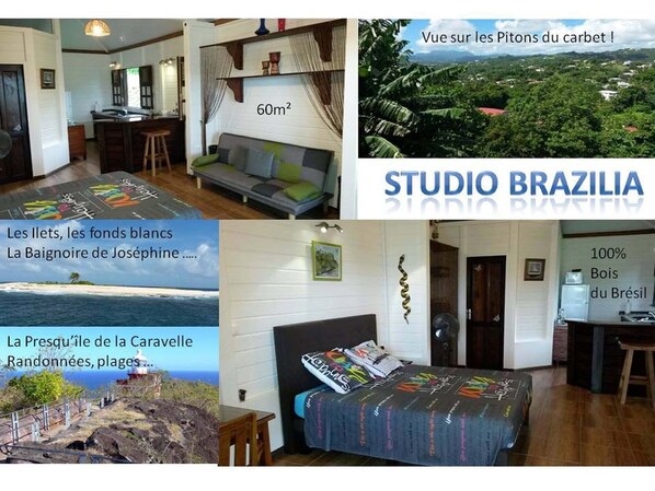 Welcome to Brazilia, Wood ambiance