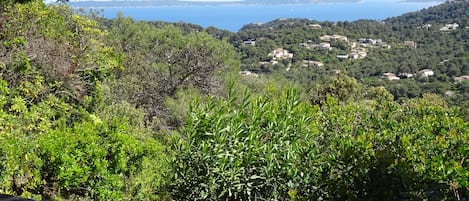 vue sur mer de la terrasse sud
