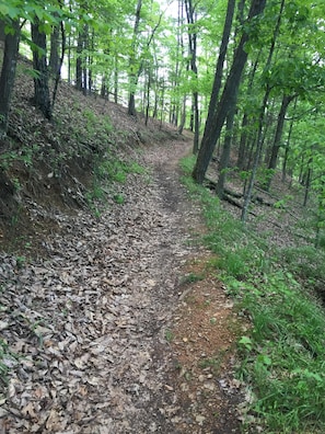 Lake Laura walking path