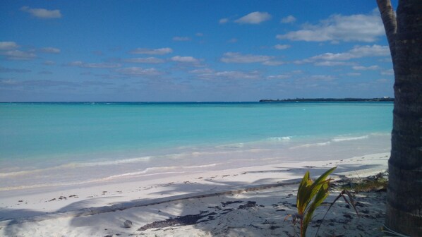 5 Shades of Blue (as seen from the front yard)