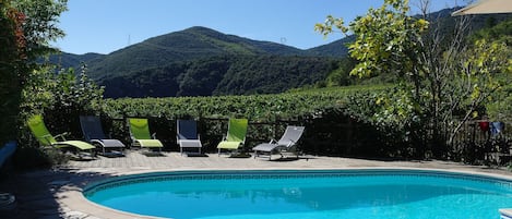 The pool, vinyards and mountains from the summer kitchen.