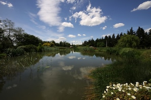 Boendeområde