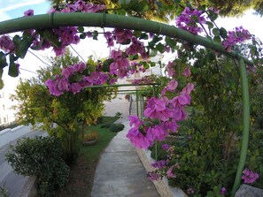 Jardines del alojamiento