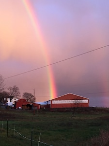 Fairview Farm and Guest Ranch - A Western Experience on the East Coast!  