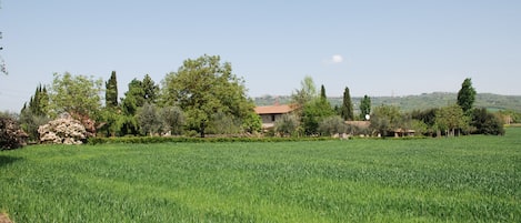 Casale Cipressina in campagna