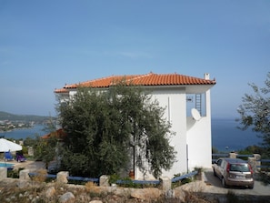 Villa view from Olive grove
