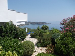 View of the terrace.