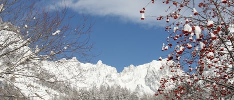 Winter view from home