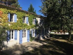 Exteriör