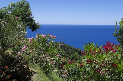 Ecotourism in the medieval village of Calabria, tradition and culture, sea and nature ...