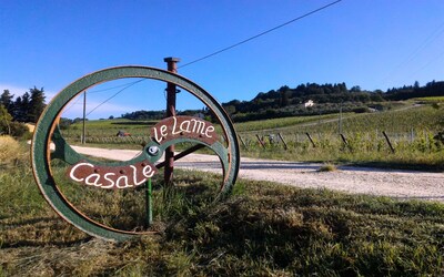 Casale le Lame: Colorino apartment