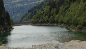 Picture 18
