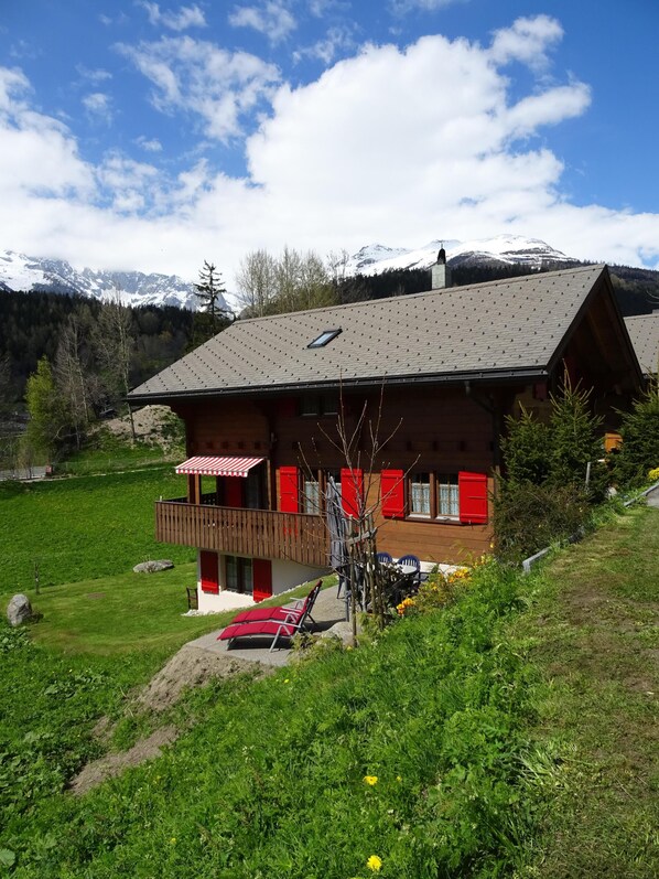 Exteriör