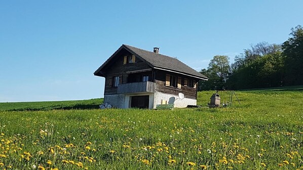 Exteriör