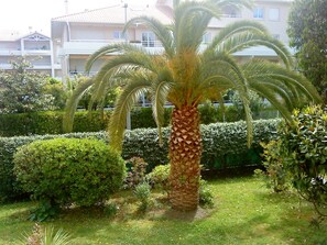 Vue du balcon