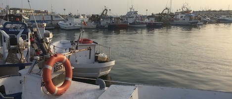 Santa Pola Fishermen port
