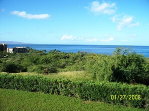 another view from lanai