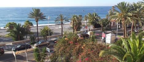 Beach/ocean view