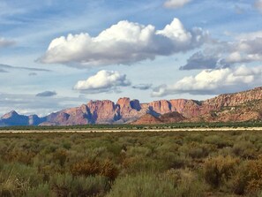 Cane Beds, Arizona