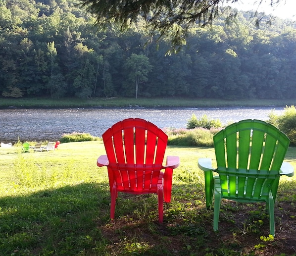 Endless beauty of an unspoiled Upper Delaware River & mountain fronting our home