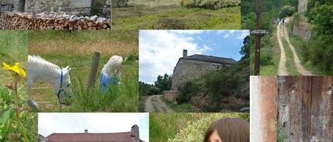 la ferme de Magnaudès, la joie de vivre dans la nature