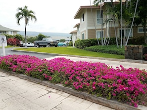 Drive way leads to Alii Lani vacation rental 