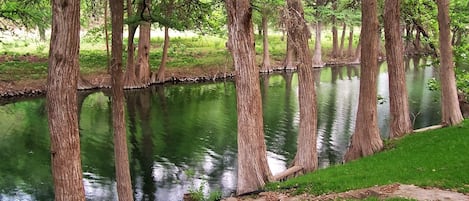 This river is barely outside the back yard gate for swimming or C/R fishing.