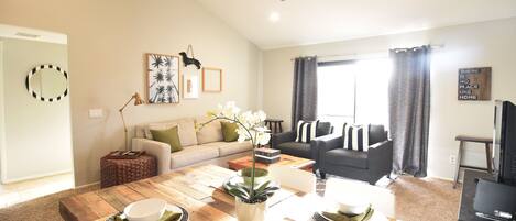 modern living room with sleeper sofa