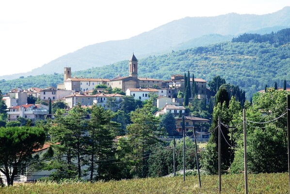 ....se vieni da Arezzo questo è il panorama che  appare di  Castiglion Fibocchi