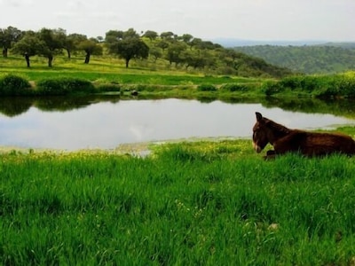 Rural house Finca los Llanos from 8 to 25 people