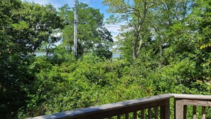 Water views through the trees from the front deck
