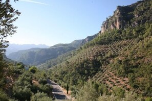 Photo non classée, 5 sur 41, bouton