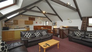 Barn kitchen/living/dining room