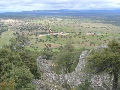 Self catering La Sierra de Monfragüe for 12 people