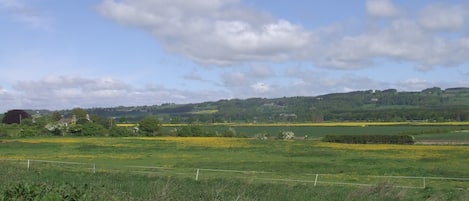 View from Dilston Cottage