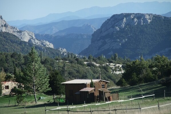 Oklassificerad bild, 1 av 50, knapp
