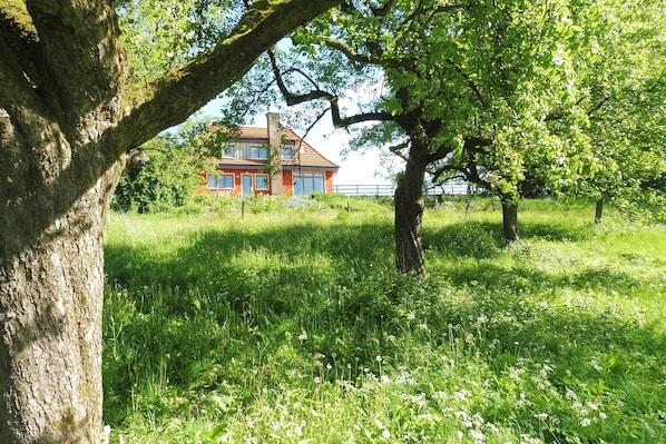 Boendeområde