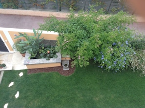 the flat - view on the garden and the fish pond