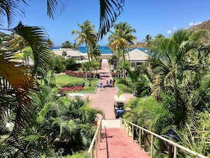 photo taken last spring, March 2019