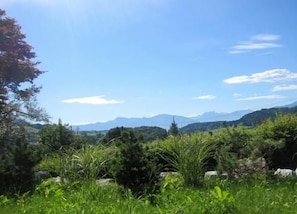 Picture 2