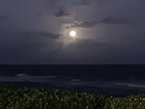 View from lawn in front of condo.