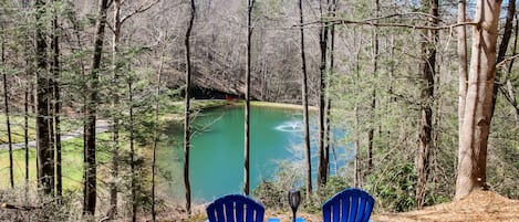 Pigeon Forge Cabin "Water's View" - View of community fully stocked catch and release fishing pond