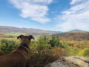 Half a mile hike up stone road to beautiful lookout