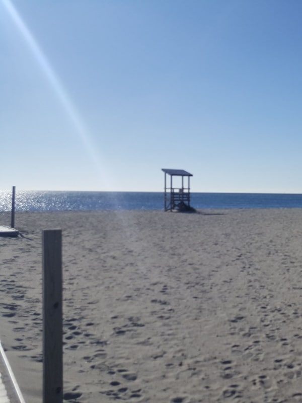 Seagull Beach